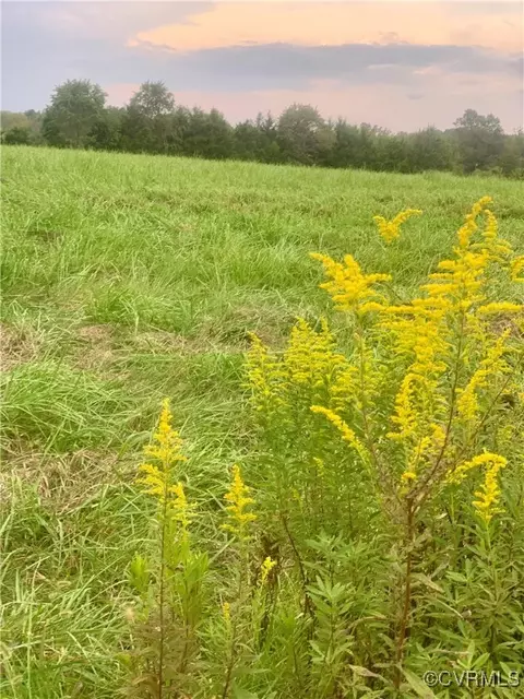 2 89 Acres Ginger Ln, Cartersville, VA 23027