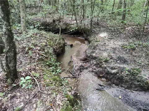 Off Liberty Road, Dolphin, VA 23843 photo 27