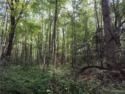 Off Liberty Road, Dolphin, VA 23843 photo 45