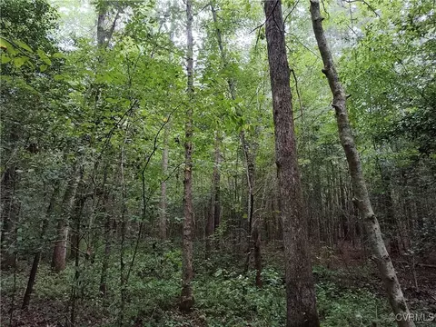 Off Liberty Road, Dolphin, VA 23843 photo 28