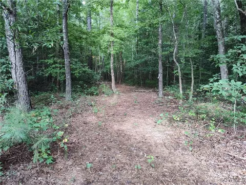 Off Liberty Road, Dolphin, VA 23843 photo 25