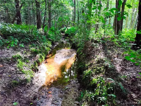 Off Liberty Road, Dolphin, VA 23843 photo 10