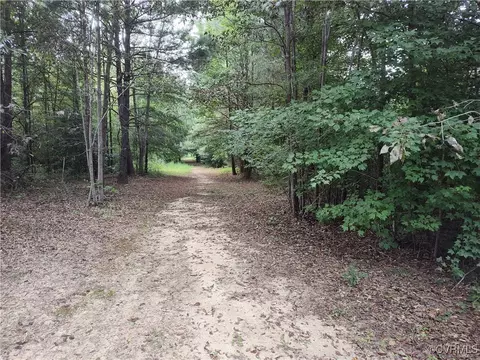 Off Liberty Road, Dolphin, VA 23843 photo 24