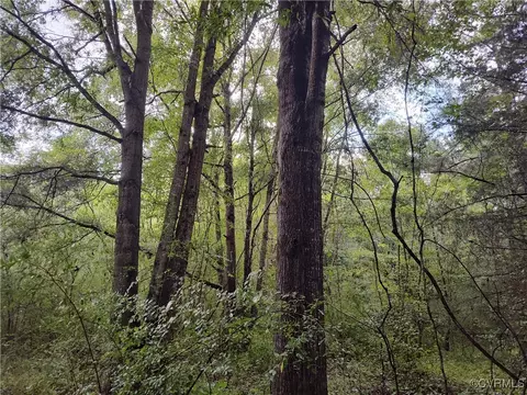 Off Liberty Road, Dolphin, VA 23843 photo 30