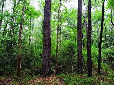 Off Liberty Road, Dolphin, VA 23843 photo 8