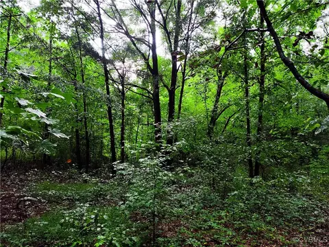 Off Liberty Road, Dolphin, VA 23843 photo 6