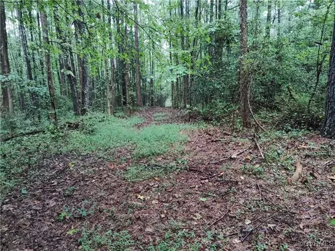 Off Liberty Road, Dolphin, VA 23843 photo 39