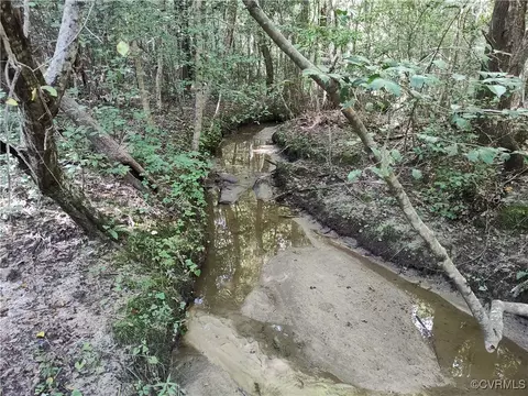 Off Liberty Road, Dolphin, VA 23843 photo 40