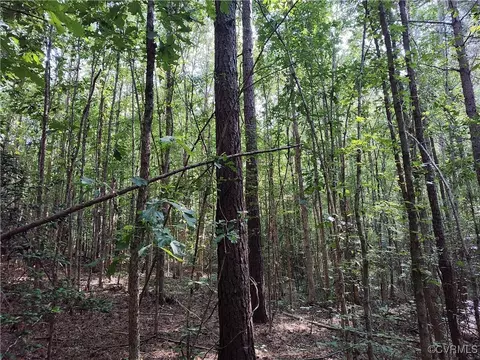 Off Liberty Road, Dolphin, VA 23843 photo 41