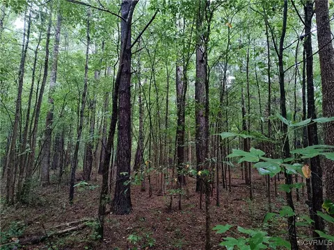 Off Liberty Road, Dolphin, VA 23843 photo 38