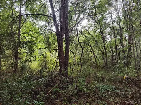 Off Liberty Road, Dolphin, VA 23843 photo 32