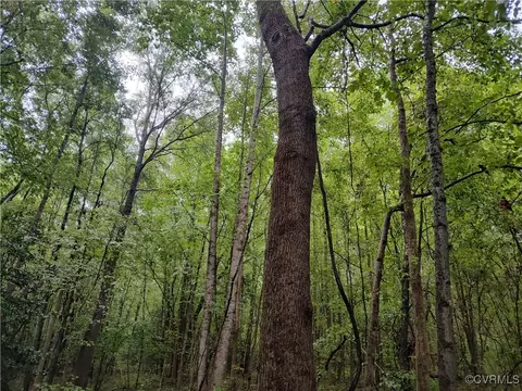 Off Liberty Road, Dolphin, VA 23843 photo 37