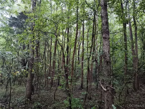 Off Liberty Road, Dolphin, VA 23843 photo 33