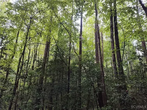 Off Liberty Road, Dolphin, VA 23843 photo 34