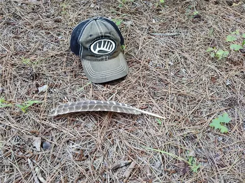 Off Liberty Road, Dolphin, VA 23843 photo 23