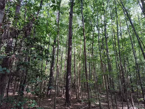 Off Liberty Road, Dolphin, VA 23843 photo 42