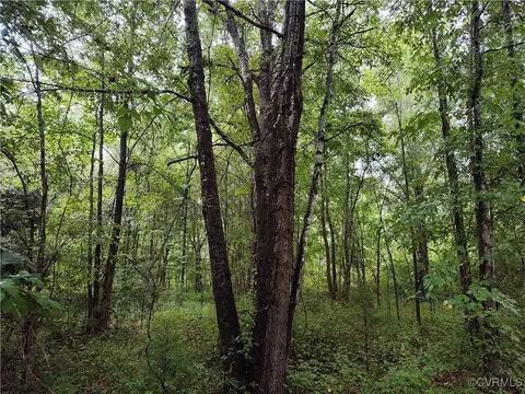 Off Liberty Road, Dolphin, VA 23843 photo 31