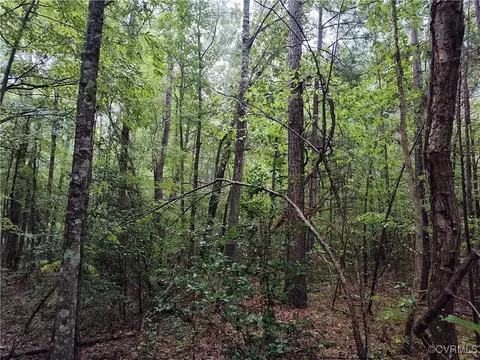 Off Liberty Road, Dolphin, VA 23843 photo 35