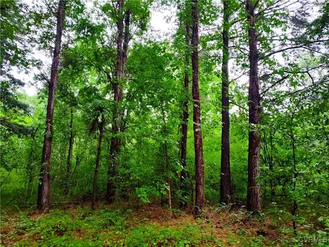 Off Liberty Road, Dolphin, VA 23843 photo 7