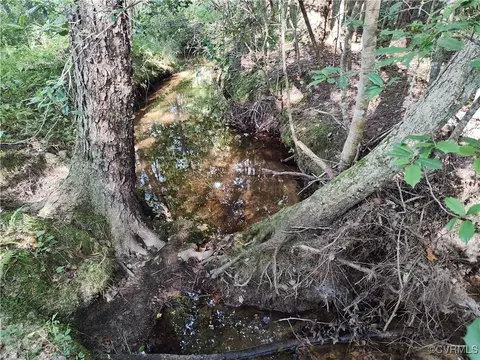 Off Liberty Road, Dolphin, VA 23843 photo 44