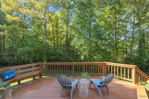 14006 Harbour Pointe Rd, Midlothian, VA 23112 photo 42