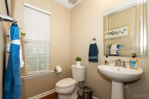 16931 White Daisy Loop, Moseley, VA 23120 photo 10