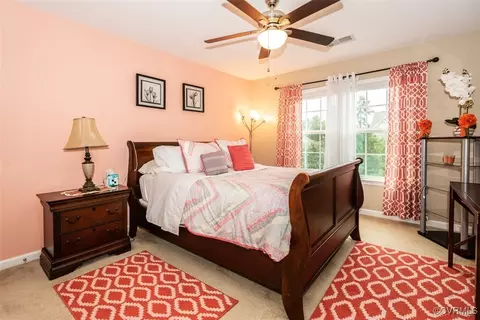 16931 White Daisy Loop, Moseley, VA 23120 photo 31