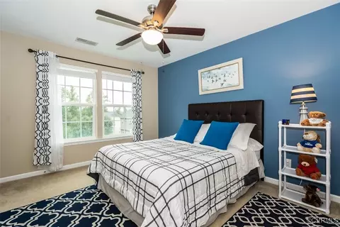 16931 White Daisy Loop, Moseley, VA 23120 photo 36