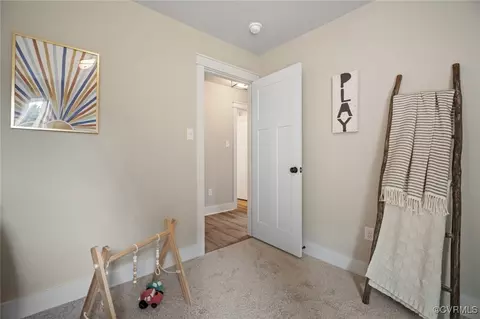 341 Haley Ct, Ashland, VA 23005 photo 21