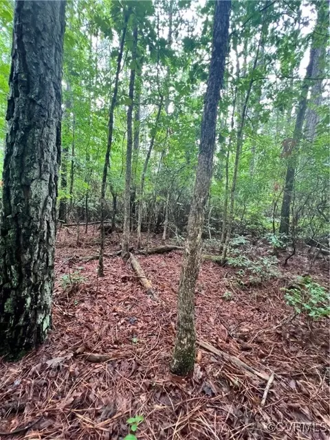 tbd Canaan Rd, King William, VA 23086