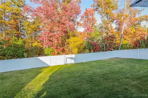 16713 White Daisy Loop, Moseley, VA 23120 photo 45