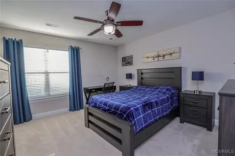 16713 White Daisy Loop, Moseley, VA 23120 photo 30