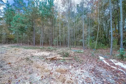Exterior - 23701 Carson Rd, Dinwiddie, VA 23841 photo 9 of 9