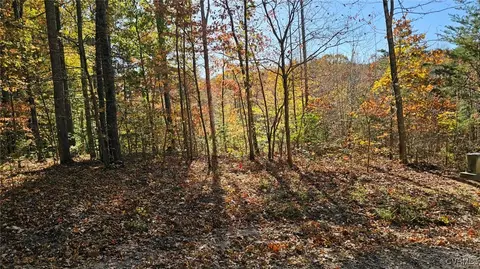 5301 Chimney Springs Dr, Goochland, VA 23063
