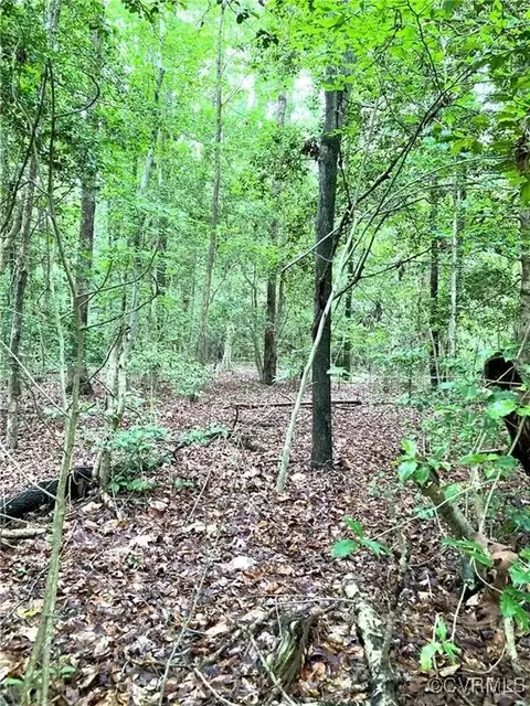 0 Zion Branch Rd, Saluda, VA 23149