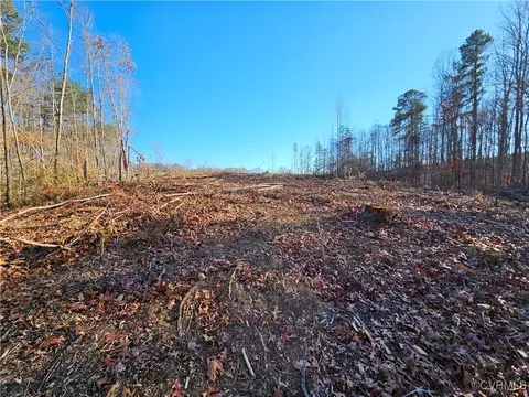 tbd Shelton Store Rd, Wingina, VA 24599