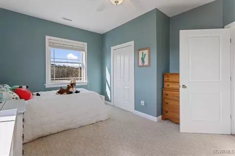 3008 New Design Rd, Dendron, VA 23839 photo 26
