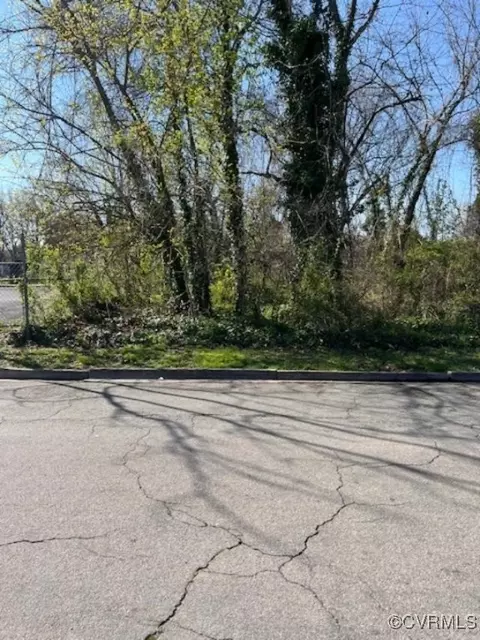 513 Savannah Ave, Richmond, VA 23222