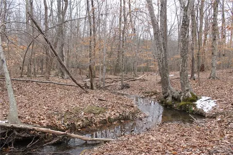 tbd Ranson Rd, Dillwyn, VA 23936