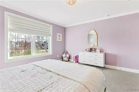 7012 Silverthread Dr, Moseley, VA 23120 photo 24