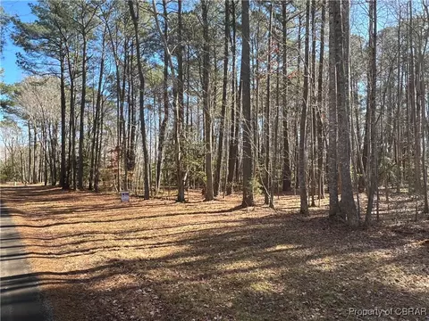 tbd Robinson Ln, Topping, VA 23169