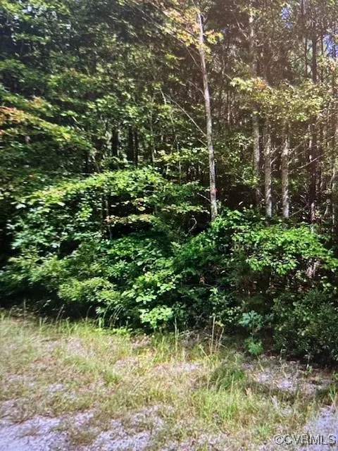 0 Dabney Rd, Little Plymouth, VA 23091
