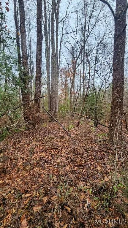 tbd Flat Rock Rd, Alberta, VA 23821 photo 6