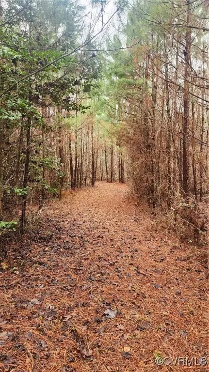 tbd Flat Rock Rd, Alberta, VA 23821 photo 5