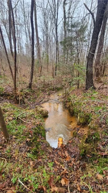 tbd Flat Rock Rd, Alberta, VA 23821 photo 16