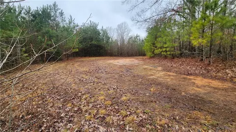 tbd Flat Rock Rd, Alberta, VA 23821 photo 2