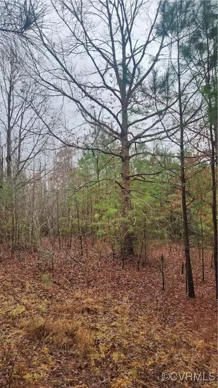 tbd Flat Rock Rd, Alberta, VA 23821 photo 26