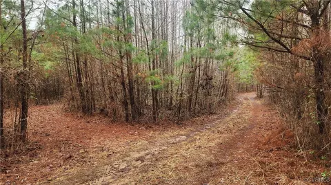 tbd Flat Rock Rd, Alberta, VA 23821 photo 3