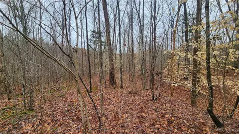 tbd Flat Rock Rd, Alberta, VA 23821 photo 13