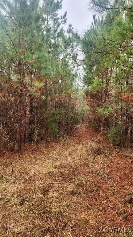 tbd Flat Rock Rd, Alberta, VA 23821 photo 25